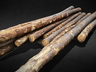 wood logs felled trees wooden stick trees 3d model