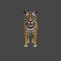 Realistic 3D Model Of A Standing Tiger With Striped Fur And Detailed Features