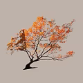 Graceful Arbor With Orange Autumn Leaves And Slender Branches On Light Background