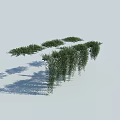 Lush Green Vines with Hanging Foliage Casting Natural Shadows in Growth