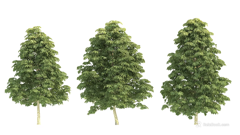 Three Arbor Trees With Lush Green Leaves And Strong Trunks On White Background 3d model 