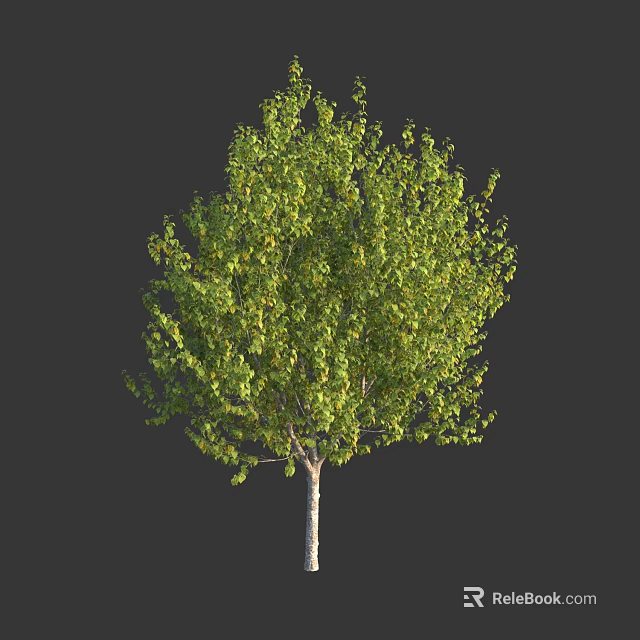 Lush Green Arbor With Dense Foliage And Light Colored Trunk 3d model