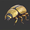 Detailed 3D Rendered Golden Beetle With Shiny Shell And Legs On Dark Background