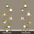 Modern Indoor Shelving Units Featuring Various Potted Plants In Minimalist Decor