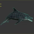 Realistic 3D Dolphin Model in Leaping Pose With Open Mouth Shiny Skin on Dark Background