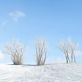 Snow Covered Bushes Standing On Winter Hillside Under Blue Sky With White Clouds