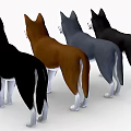 Four Different Colored Husky Dogs Standing In A Row With Friendly Expressions