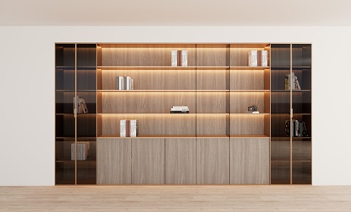 Modern bookcase 3d model