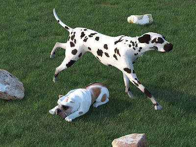 Dog Animal Poultry 3d model