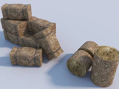 Natural Hay Bales For Garden Decoration With Square And Cylindrical Shapes 3d model