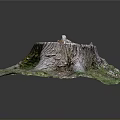 Natural Tree Stump with Textured Surface Surrounded by Green Moss and Grass