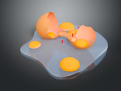 Organic Fresh Cracked Eggshells With Runny Yolks On Glass Surface 3d model