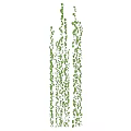 Lush Vertical Green Plant Wall With Hanging Vines Climbing Plants And Fresh Green Leaves