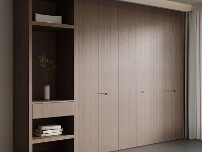 Modern Wooden Wardrobe Interior With Open Bookshelf Books And Green Plant 3d model