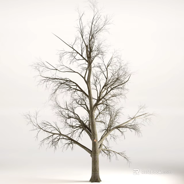 Leafless Tree With Bare Branches And Thick Trunk Against Gray Sky Background 3d model 