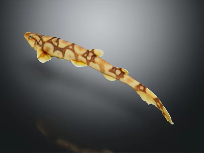 Yellow And Brown Spotted Fish With Long Tail And Slender Body 3d model