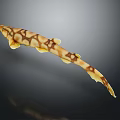 Yellow And Brown Spotted Fish With Long Tail And Slender Body