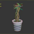 Indoor Decorative Plant with Twisted Stems Green Leaves in White Pot with Purple Stripes