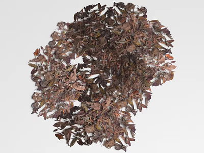 Natural Dried Brown Leaf Ground Cover For Garden Landscaping Use 3d model