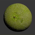 Fresh Ripe Cantaloupe With Vibrant Green Netted Skin On Dark Surface
