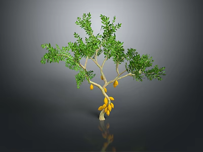 Lush Green Leaf Tree Bearing Fresh Yellow Fruits Against Gray Background 3d model