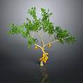Lush Green Leaf Tree Bearing Fresh Yellow Fruits Against Gray Background