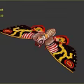 Detailed Colorful Moth With Black Yellow Red Wings And Circular Patterns