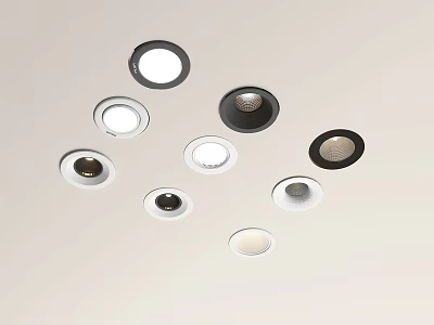 Modern Ceiling Downlights and Spotlights with Black and White Trim Design 3d model