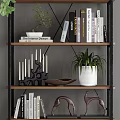 Stylish Shelving Unit with Green Plants Decorative Ornaments Books and Photo Frames