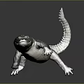 Crocodile Alligator Nile Crocodile carnivore reptile cold-blooded animal reptile 3d model