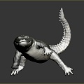 Crocodile Alligator Nile Crocodile carnivore reptile cold-blooded animal reptile reptile 3d model