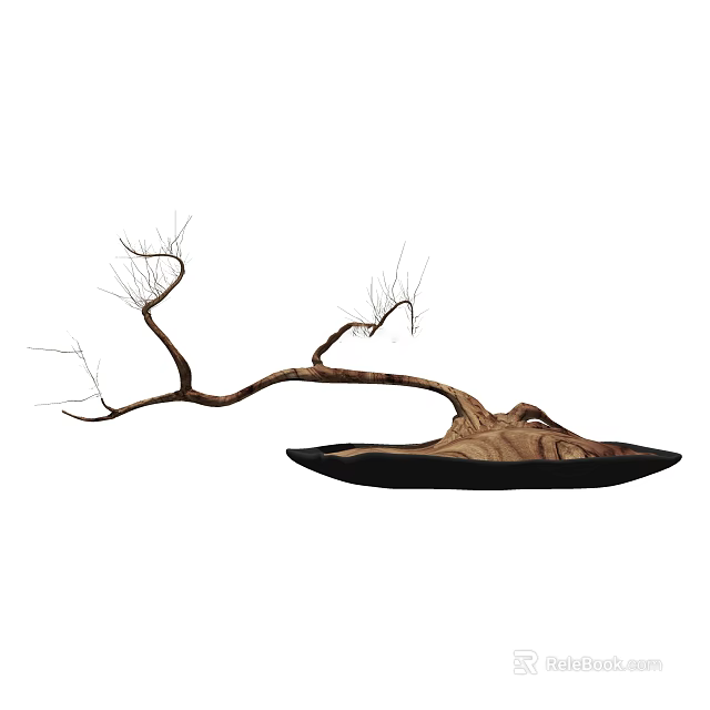 Bonsai Plant with Curved Dry Branches in Black Pot Natural Artistic Shape 3d model 
