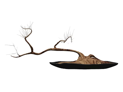 Bonsai Plant with Curved Dry Branches in Black Pot Natural Artistic Shape 3d model