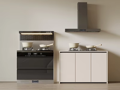 Modern Kitchen Appliances With Cooktops Ovens Range Hoods And Cabinet Setup 3d model