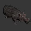 Realistic Hippopotamus 3D Model With Grey Skin And Standing Pose
