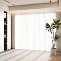 White Window Curtains With Sunlight Filtering Through Modern Interior Green Plant in White Pot