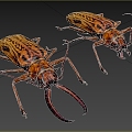 Modern saber-toothed tiger beetle female and male insect animal creatures 3d model