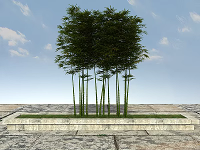 Tall Bamboo Plants in Stone Planter Under Blue Sky With White Clouds and Paved Ground 3d model