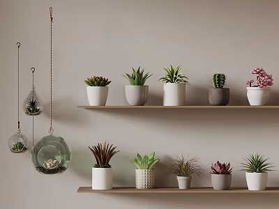 Indoor Plant Display With Shelves Hanging Glass Planters And Potted Succulents 3d model