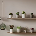 Indoor Plant Display With Shelves Hanging Glass Planters And Potted Succulents