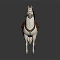 White Horse With Brown Saddle And Leather Reins Standing On Reflective Surface