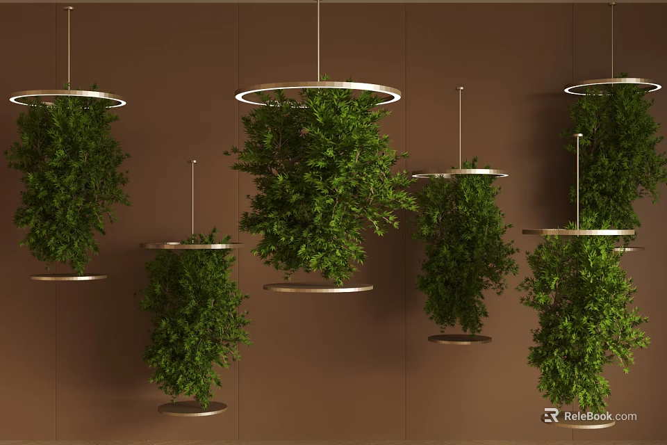 Multiple Green Hanging Bonsai Plants With Metal Ring Bases On Brown Wall Background 3d model 