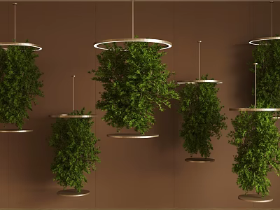Multiple Green Hanging Bonsai Plants With Metal Ring Bases On Brown Wall Background 3d model