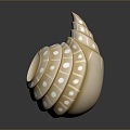 conch bone snail snail field snail shellfish marine animal fish freshwater fish marine fish animal 3d model