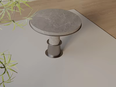 Round Side Table With Marble Top Metal Base And Green Plants On Carpet 3d model
