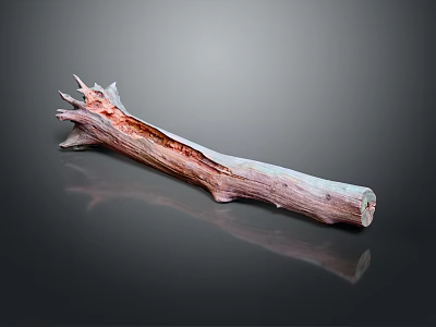 Natural Wood Branch with Red Brown Texture on Reflective Stone Surface 3d model