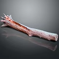 Natural Wood Branch with Red Brown Texture on Reflective Stone Surface 3d model