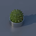 Spiky Green Cactus Bonsai Plant in Silver Metal Pot for Indoor Decor