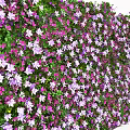 Colorful Floral Backdrop Wall With Pink Purple White Flowers And Green Leaves