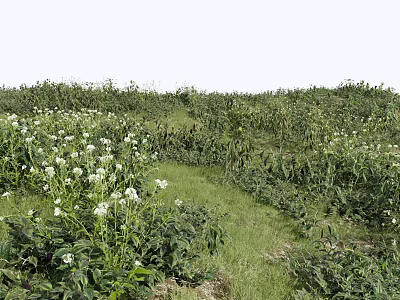 Modern Grassland Shrub Grass Green Plant Shrub Plant Pile Landscape Tree 3d model